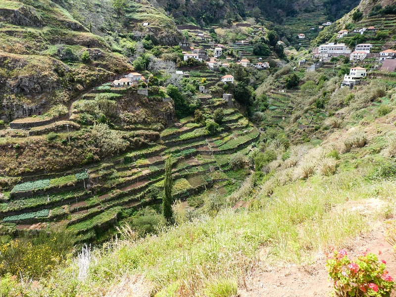 10.05.2019 Von Meia Legua nach Pomar de Rocha, auf die Levada do Lombo do Mouro und Abstieg über Furnas — Zum Miradouro — Foto 8