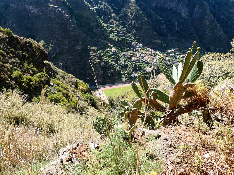 10.05.2019 Von Meia Legua nach Pomar de Rocha, auf die Levada do Lombo do Mouro und Abstieg über Furnas — Weiter durchs Schilfrohr und steil weiter zum Beginn der ersten Felder — Foto 6