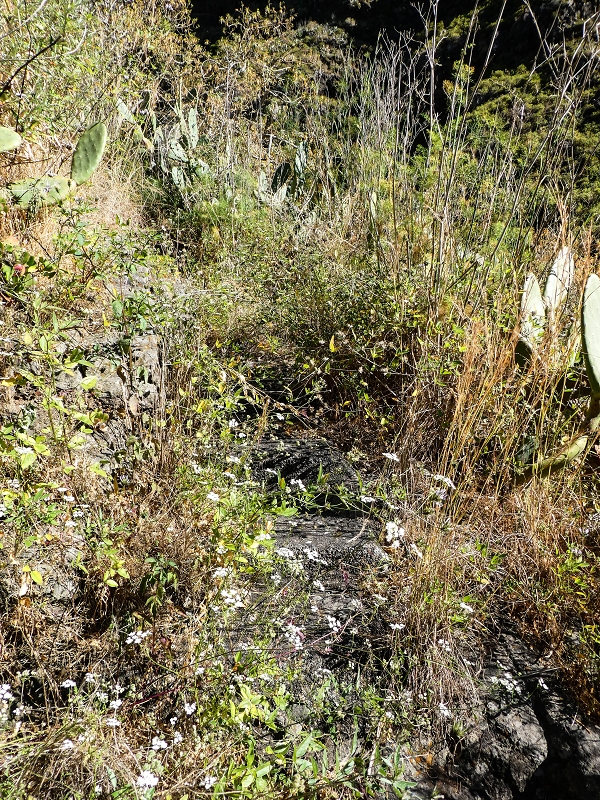 10.05.2019 Von Meia Legua nach Pomar de Rocha, auf die Levada do Lombo do Mouro und Abstieg über Furnas — Aufstieg zum überhängenden Felsblock — Foto 1