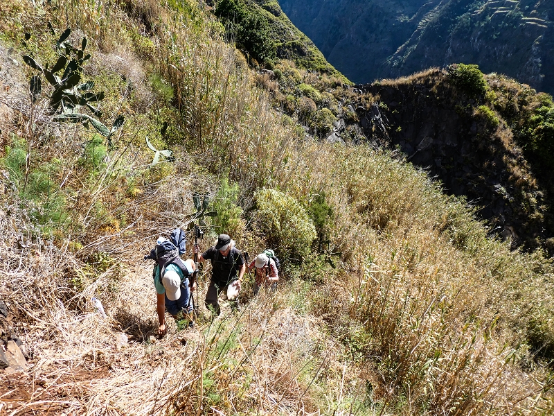 10.05.2019 Von Meia Legua nach Pomar de Rocha, auf die Levada do Lombo do Mouro und Abstieg über Furnas — Weiter durchs Schilfrohr und steil weiter zum Beginn der ersten Felder — Foto 9