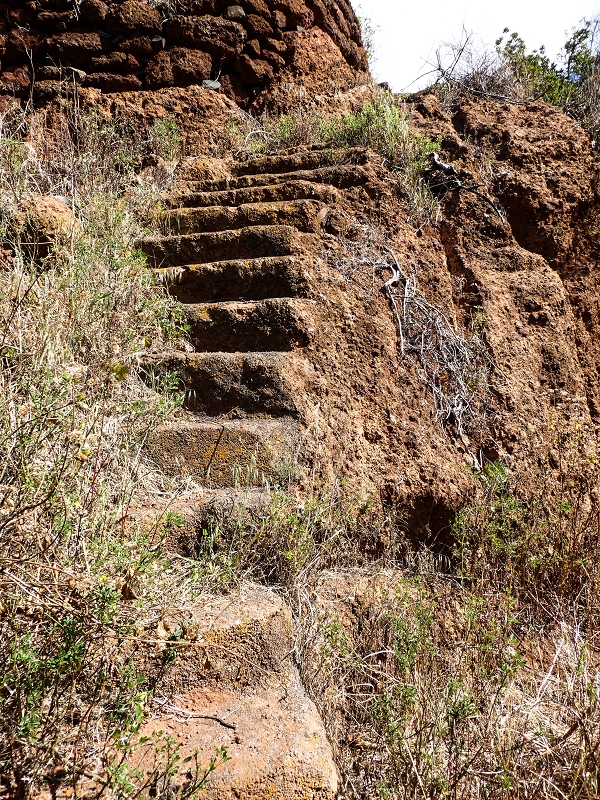 10.05.2019 Von Meia Legua nach Pomar de Rocha, auf die Levada do Lombo do Mouro und Abstieg über Furnas — Pomar de Rocha — Foto 1