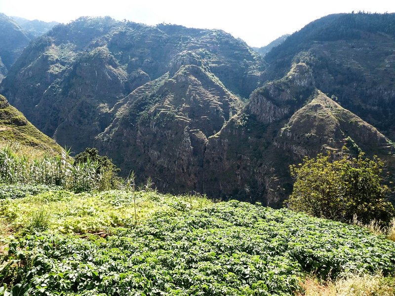 10.05.2019 Von Meia Legua nach Pomar de Rocha, auf die Levada do Lombo do Mouro und Abstieg über Furnas — Pomar de Rocha — Foto 2