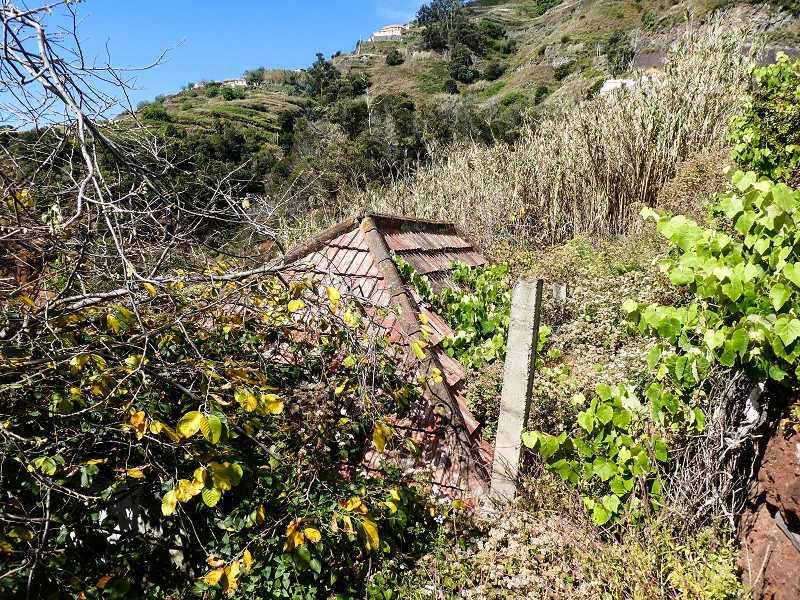 10.05.2019 Von Meia Legua nach Pomar de Rocha, auf die Levada do Lombo do Mouro und Abstieg über Furnas — Pomar de Rocha — Foto 4