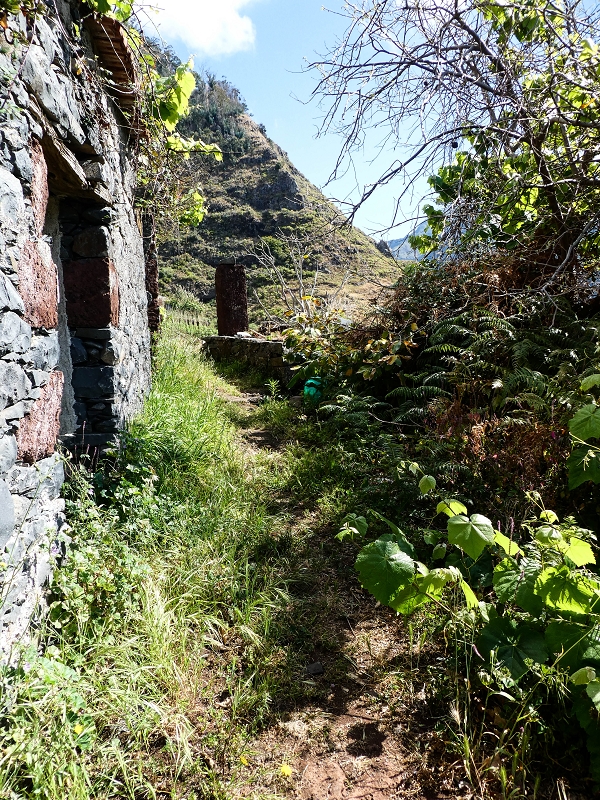 10.05.2019 Von Meia Legua nach Pomar de Rocha, auf die Levada do Lombo do Mouro und Abstieg über Furnas — Pomar de Rocha — Foto 5