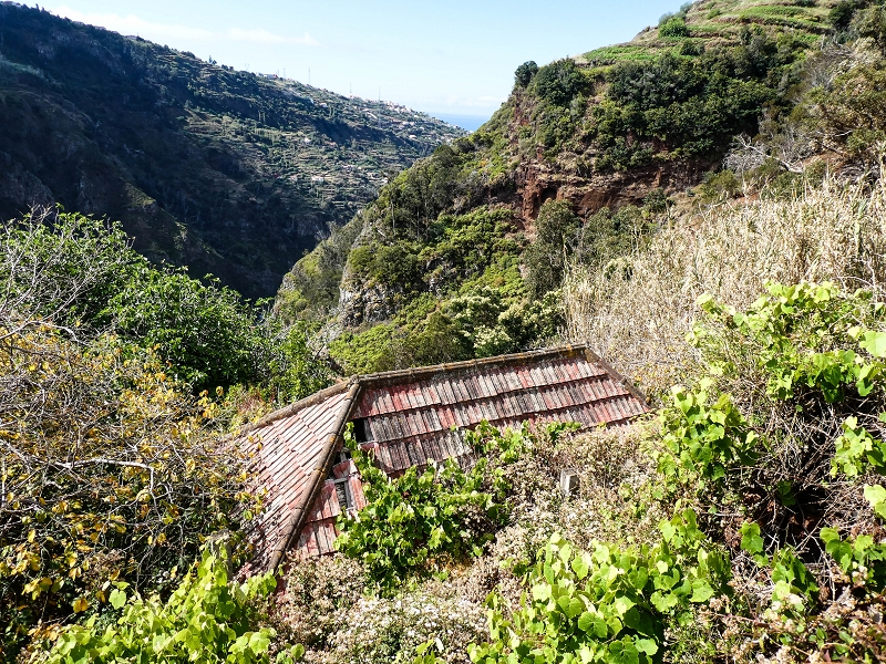 10.05.2019 Von Meia Legua nach Pomar de Rocha, auf die Levada do Lombo do Mouro und Abstieg über Furnas — Pomar de Rocha — Foto 6