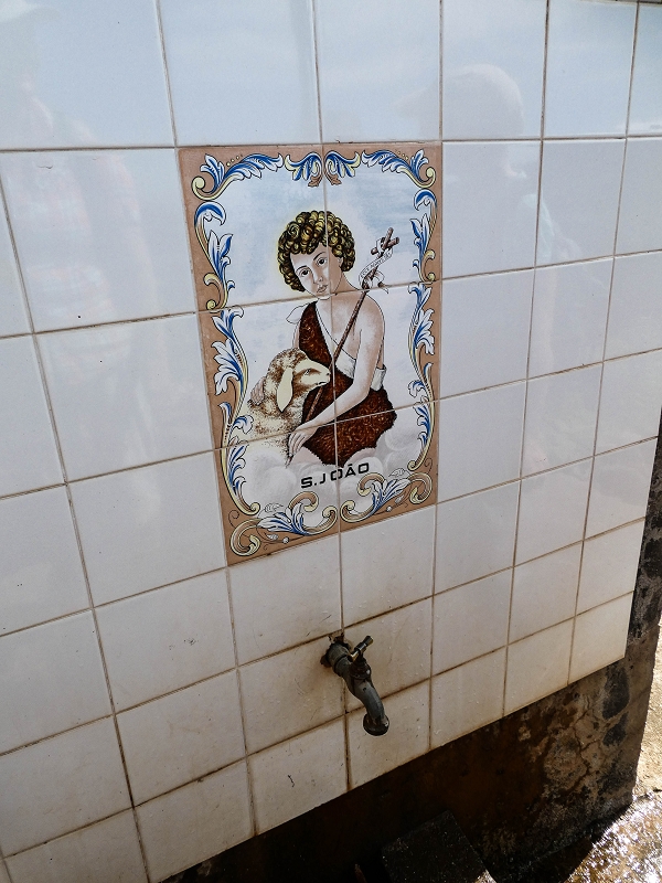 10.05.2019 Von Meia Legua nach Pomar de Rocha, auf die Levada do Lombo do Mouro und Abstieg über Furnas — Pomar de Rocha — Foto 7