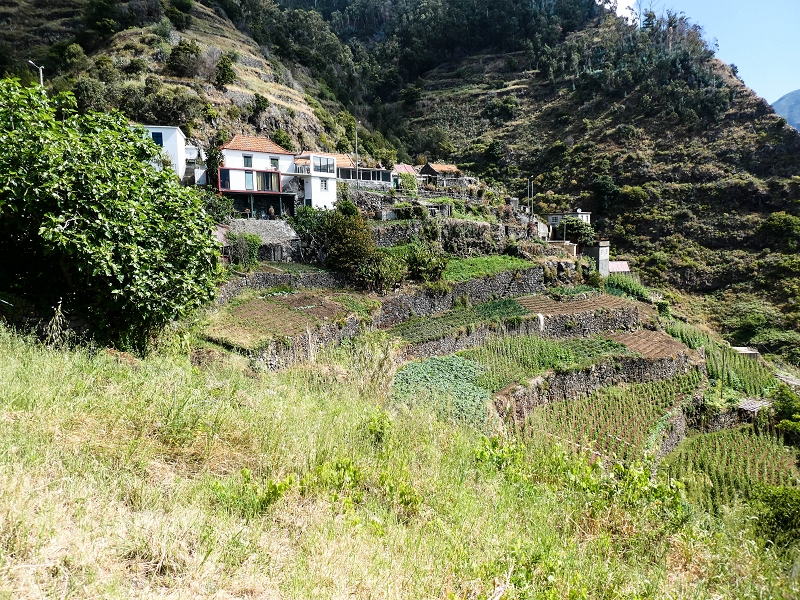 10.05.2019 Von Meia Legua nach Pomar de Rocha, auf die Levada do Lombo do Mouro und Abstieg über Furnas — Pomar de Rocha — Foto 8