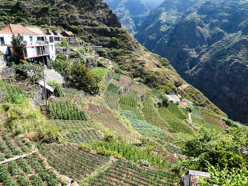 10.05.2019 Von Meia Legua nach Pomar de Rocha, auf die Levada do Lombo do Mouro und Abstieg über Furnas — Pomar de Rocha — Foto 10