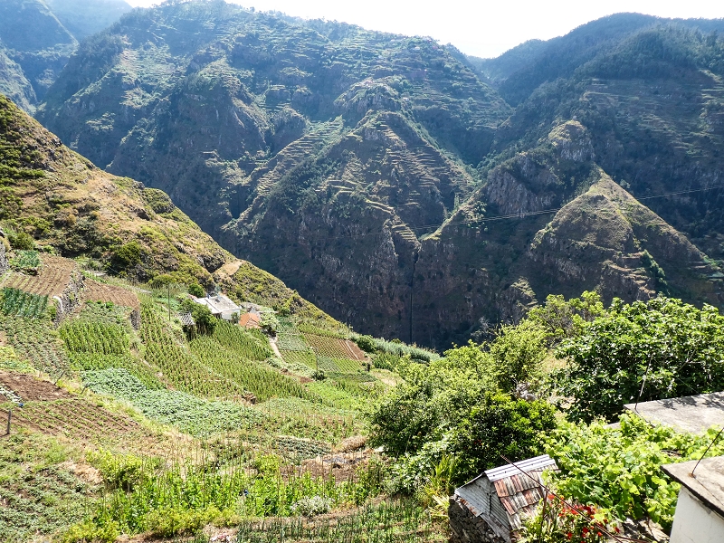 10.05.2019 Von Meia Legua nach Pomar de Rocha, auf die Levada do Lombo do Mouro und Abstieg über Furnas — Pomar de Rocha — Foto 11