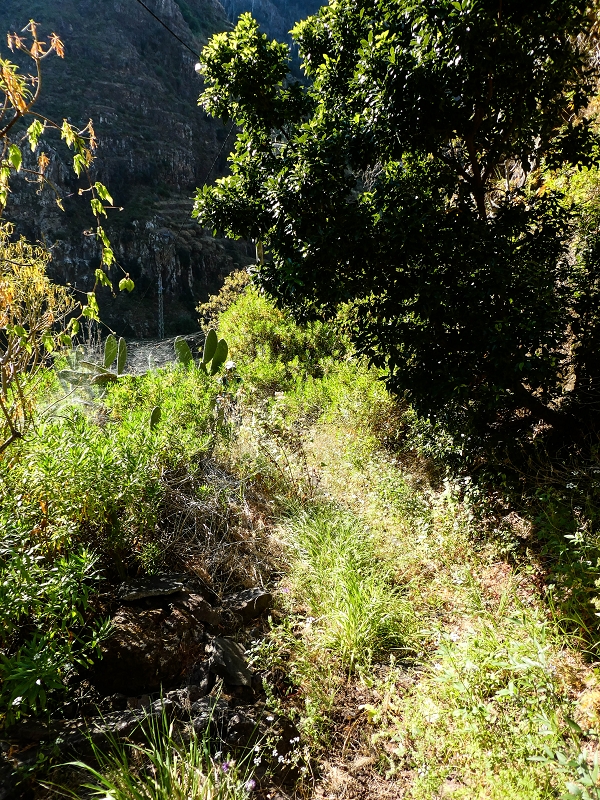 10.05.2019 Von Meia Legua nach Pomar de Rocha, auf die Levada do Lombo do Mouro und Abstieg über Furnas — Aufstieg zum überhängenden Felsblock — Foto 3