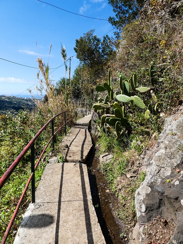 10.05.2019 Von Meia Legua nach Pomar de Rocha, auf die Levada do Lombo do Mouro und Abstieg über Furnas — Aufstieg ins Tal der Ribeira dos Fontes zum Ende der Stichstrasse — Foto 3