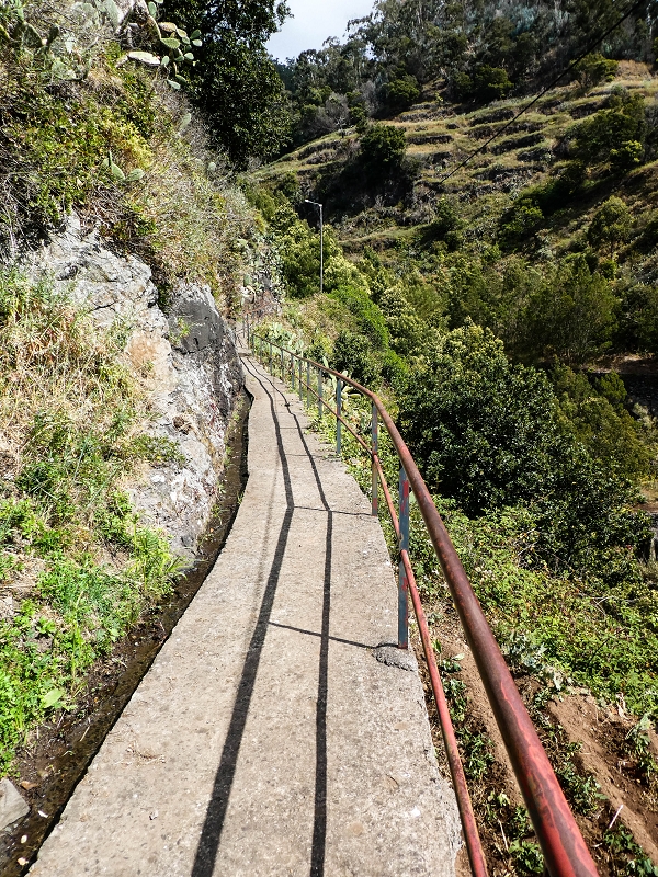10.05.2019 Von Meia Legua nach Pomar de Rocha, auf die Levada do Lombo do Mouro und Abstieg über Furnas — Aufstieg ins Tal der Ribeira dos Fontes zum Ende der Stichstrasse — Foto 4