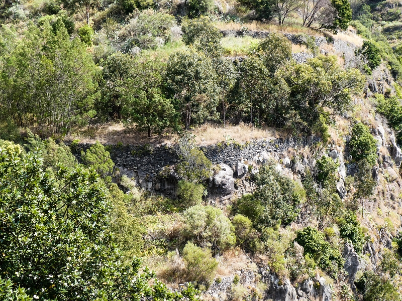 10.05.2019 Von Meia Legua nach Pomar de Rocha, auf die Levada do Lombo do Mouro und Abstieg über Furnas — Aufstieg ins Tal der Ribeira dos Fontes zum Ende der Stichstrasse — Foto 5