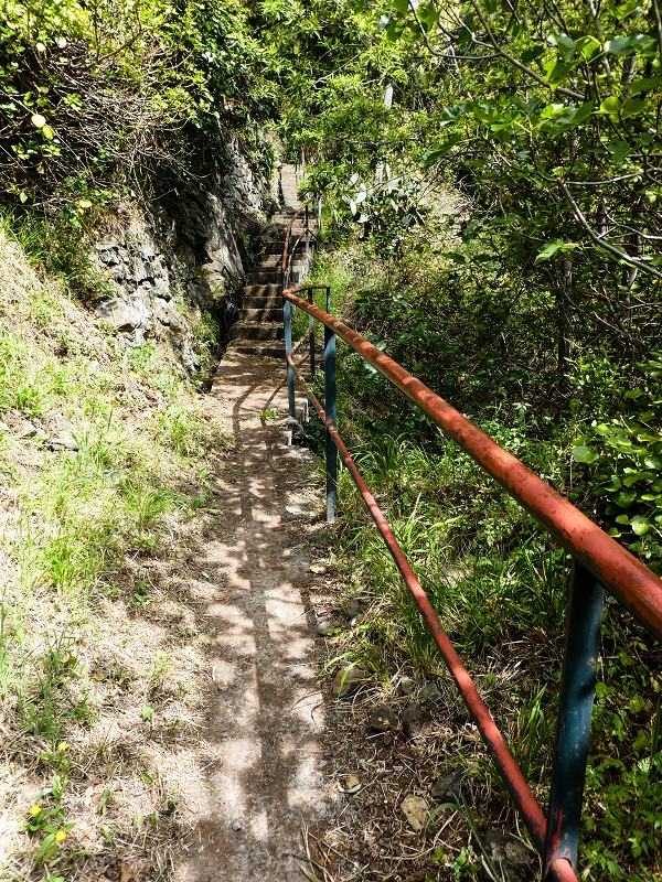 10.05.2019 Von Meia Legua nach Pomar de Rocha, auf die Levada do Lombo do Mouro und Abstieg über Furnas — Aufstieg ins Tal der Ribeira dos Fontes zum Ende der Stichstrasse — Foto 7