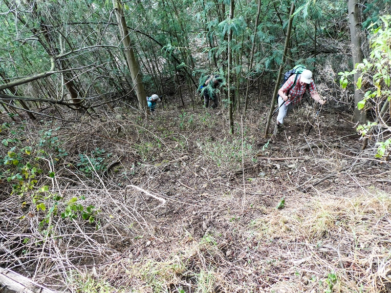 10.05.2019 Von Meia Legua nach Pomar de Rocha, auf die Levada do Lombo do Mouro und Abstieg über Furnas — Aufstieg ins Tal der Ribeira dos Fontes zum Ende der Stichstrasse — Foto 10