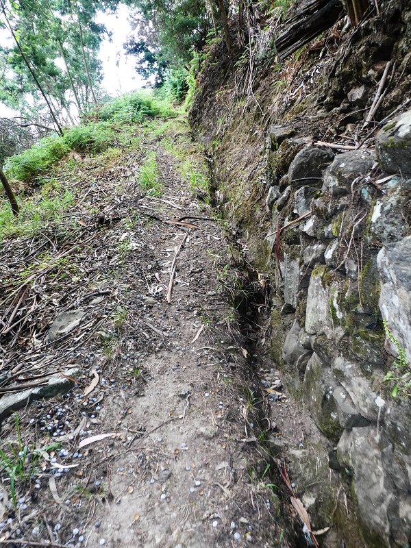 10.05.2019 Von Meia Legua nach Pomar de Rocha, auf die Levada do Lombo do Mouro und Abstieg über Furnas — Aufstieg ins Tal der Ribeira dos Fontes zum Ende der Stichstrasse — Foto 12