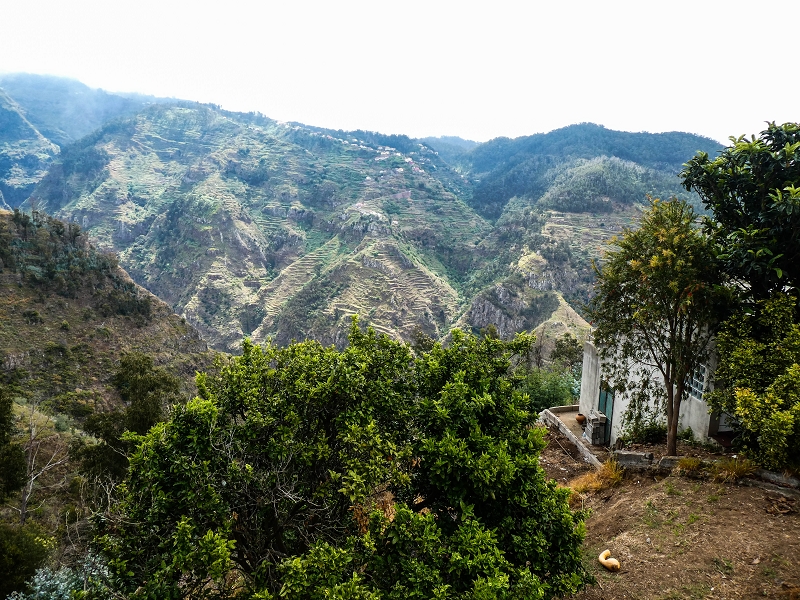 10.05.2019 Von Meia Legua nach Pomar de Rocha, auf die Levada do Lombo do Mouro und Abstieg über Furnas — Aufstieg ins Tal der Ribeira dos Fontes zum Ende der Stichstrasse — Foto 13