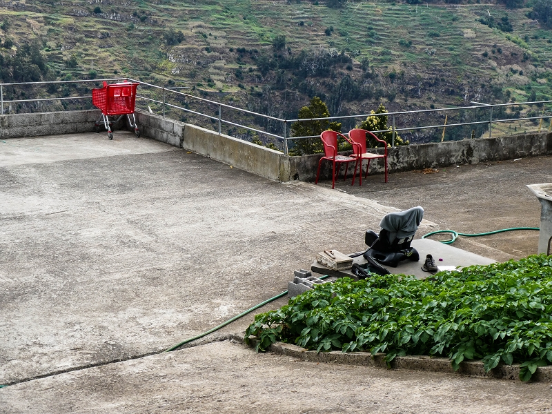 10.05.2019 Von Meia Legua nach Pomar de Rocha, auf die Levada do Lombo do Mouro und Abstieg über Furnas — Über die kleine Levada hoch zur Furnasstrasse — Foto 1