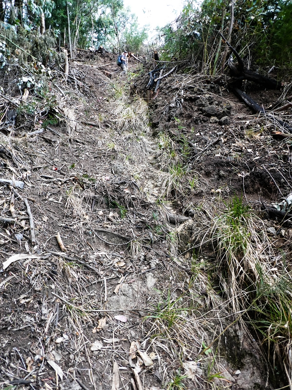 10.05.2019 Von Meia Legua nach Pomar de Rocha, auf die Levada do Lombo do Mouro und Abstieg über Furnas — Über die kleine Levada hoch zur Furnasstrasse — Foto 2