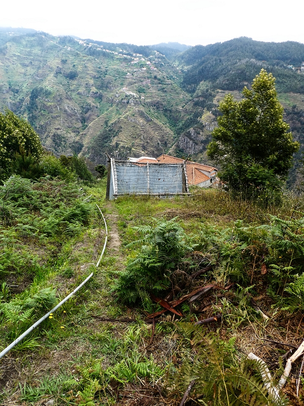 10.05.2019 Von Meia Legua nach Pomar de Rocha, auf die Levada do Lombo do Mouro und Abstieg über Furnas — Über die kleine Levada hoch zur Furnasstrasse — Foto 4