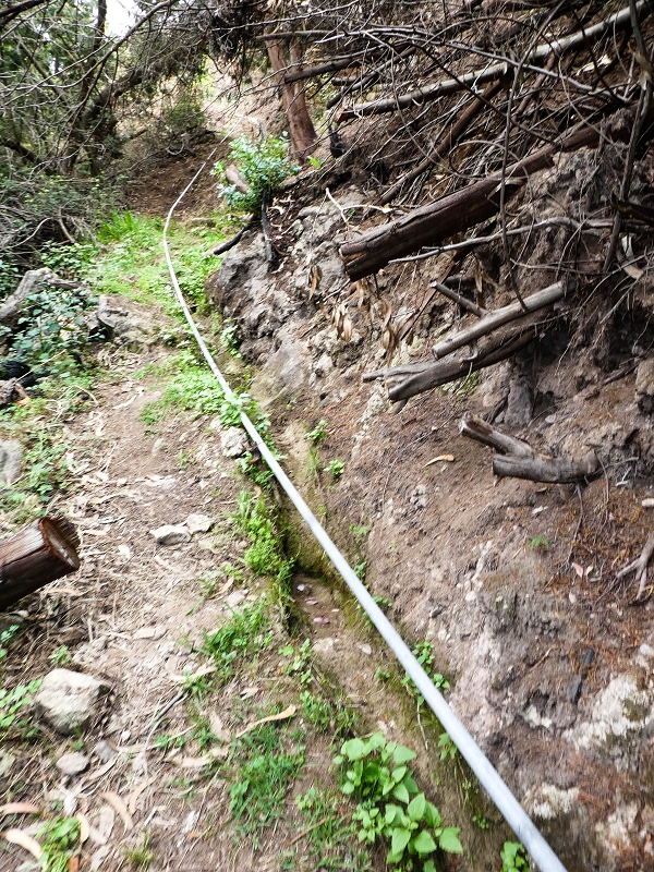 10.05.2019 Von Meia Legua nach Pomar de Rocha, auf die Levada do Lombo do Mouro und Abstieg über Furnas — Über die kleine Levada hoch zur Furnasstrasse — Foto 6