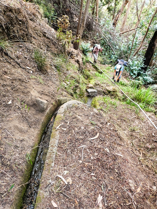 10.05.2019 Von Meia Legua nach Pomar de Rocha, auf die Levada do Lombo do Mouro und Abstieg über Furnas — Über die kleine Levada hoch zur Furnasstrasse — Foto 7