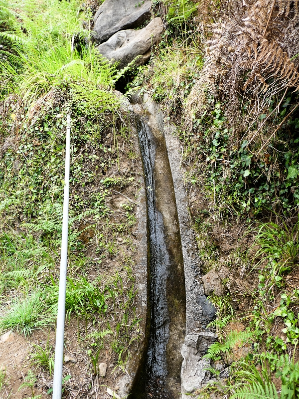 10.05.2019 Von Meia Legua nach Pomar de Rocha, auf die Levada do Lombo do Mouro und Abstieg über Furnas — Über die kleine Levada hoch zur Furnasstrasse — Foto 8