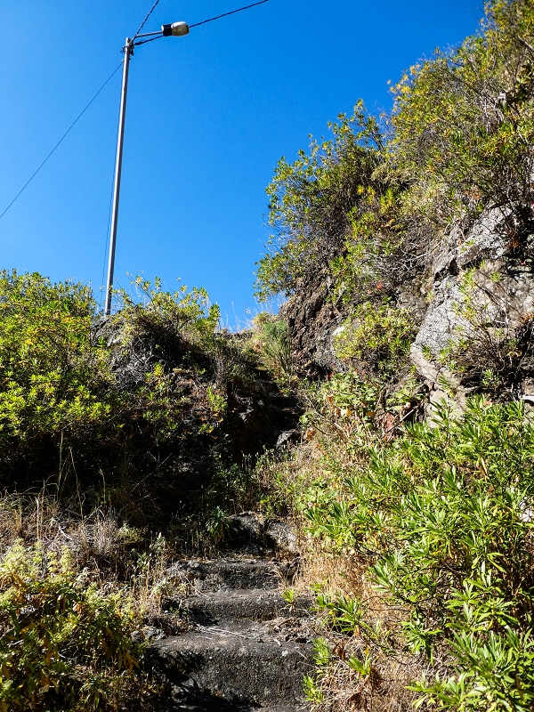 10.05.2019 Von Meia Legua nach Pomar de Rocha, auf die Levada do Lombo do Mouro und Abstieg über Furnas — Aufstieg zum überhängenden Felsblock — Foto 5
