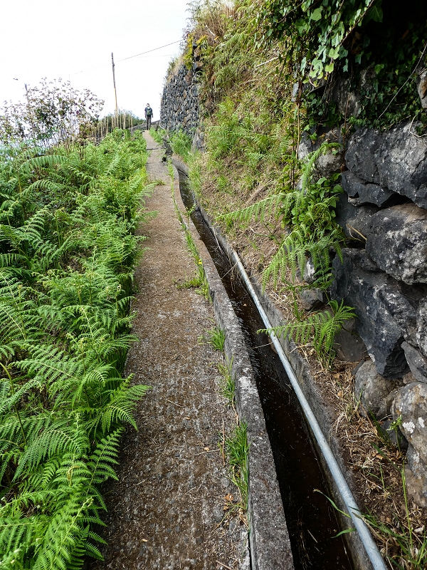 10.05.2019 Von Meia Legua nach Pomar de Rocha, auf die Levada do Lombo do Mouro und Abstieg über Furnas — Über die kleine Levada hoch zur Furnasstrasse — Foto 9
