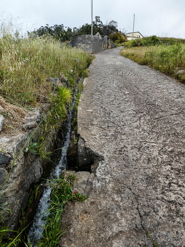 10.05.2019 Von Meia Legua nach Pomar de Rocha, auf die Levada do Lombo do Mouro und Abstieg über Furnas — Über die kleine Levada hoch zur Furnasstrasse — Foto 10