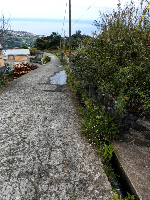 10.05.2019 Von Meia Legua nach Pomar de Rocha, auf die Levada do Lombo do Mouro und Abstieg über Furnas — Über die kleine Levada hoch zur Furnasstrasse — Foto 11
