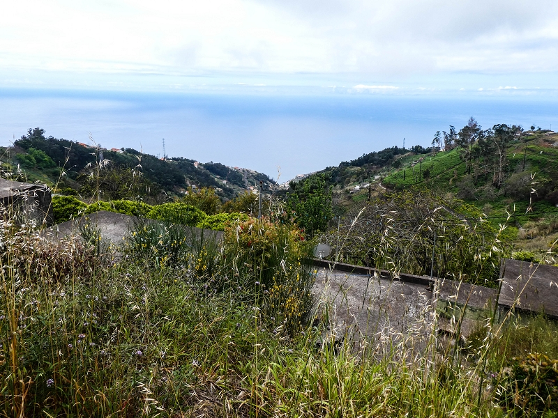 10.05.2019 Von Meia Legua nach Pomar de Rocha, auf die Levada do Lombo do Mouro und Abstieg über Furnas — Über die kleine Levada hoch zur Furnasstrasse — Foto 17