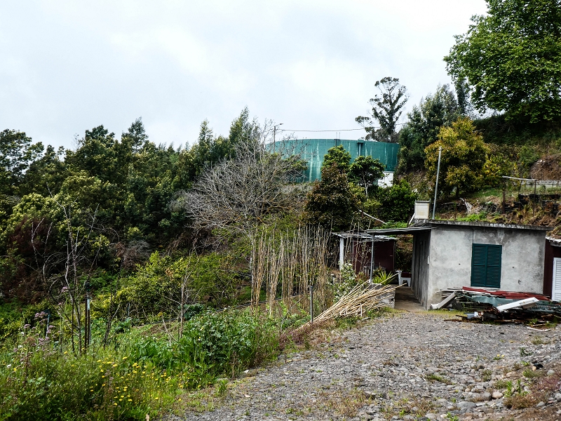10.05.2019 Von Meia Legua nach Pomar de Rocha, auf die Levada do Lombo do Mouro und Abstieg über Furnas — Zum Ende der Levada do Lombo do Mouro — Foto 2