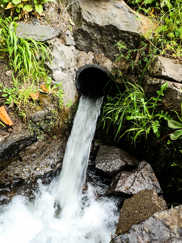 10.05.2019 Von Meia Legua nach Pomar de Rocha, auf die Levada do Lombo do Mouro und Abstieg über Furnas — Zum Ende der Levada do Lombo do Mouro — Foto 8
