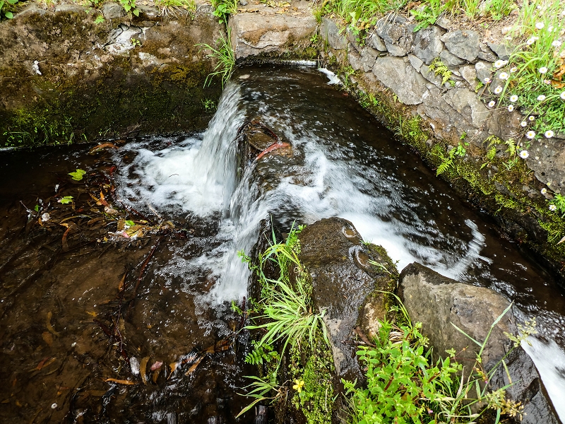 10.05.2019 Von Meia Legua nach Pomar de Rocha, auf die Levada do Lombo do Mouro und Abstieg über Furnas — Zum Ende der Levada do Lombo do Mouro — Foto 9