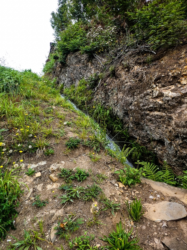 10.05.2019 Von Meia Legua nach Pomar de Rocha, auf die Levada do Lombo do Mouro und Abstieg über Furnas — Zum Ende der Levada do Lombo do Mouro — Foto 11