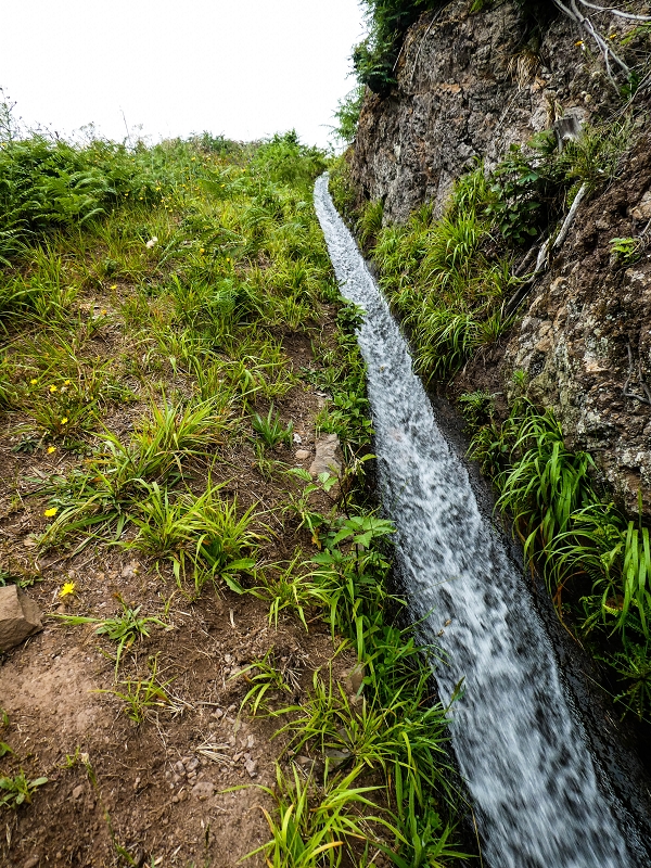 10.05.2019 Von Meia Legua nach Pomar de Rocha, auf die Levada do Lombo do Mouro und Abstieg über Furnas — Der Levada do Lombo do Mouro entlang zum Abstiegsweg nach Furnas — Foto 1