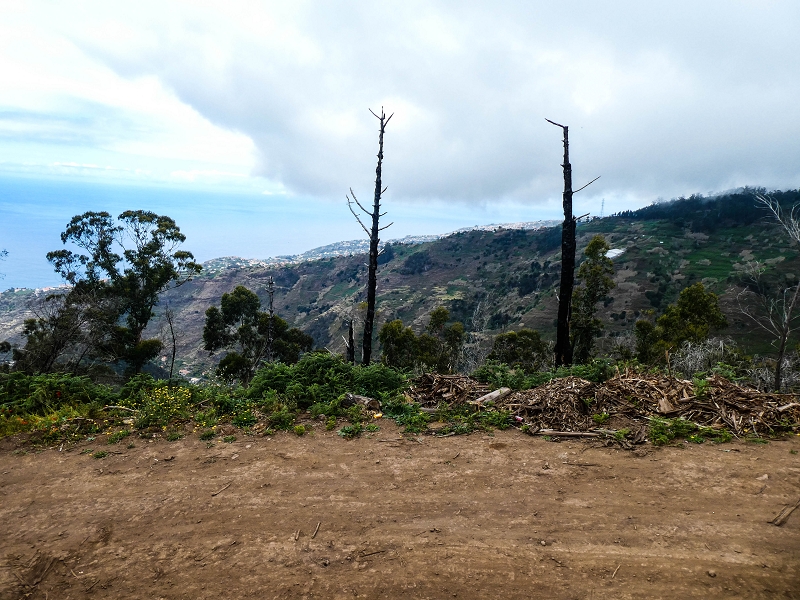 10.05.2019 Von Meia Legua nach Pomar de Rocha, auf die Levada do Lombo do Mouro und Abstieg über Furnas — Der Levada do Lombo do Mouro entlang zum Abstiegsweg nach Furnas — Foto 2