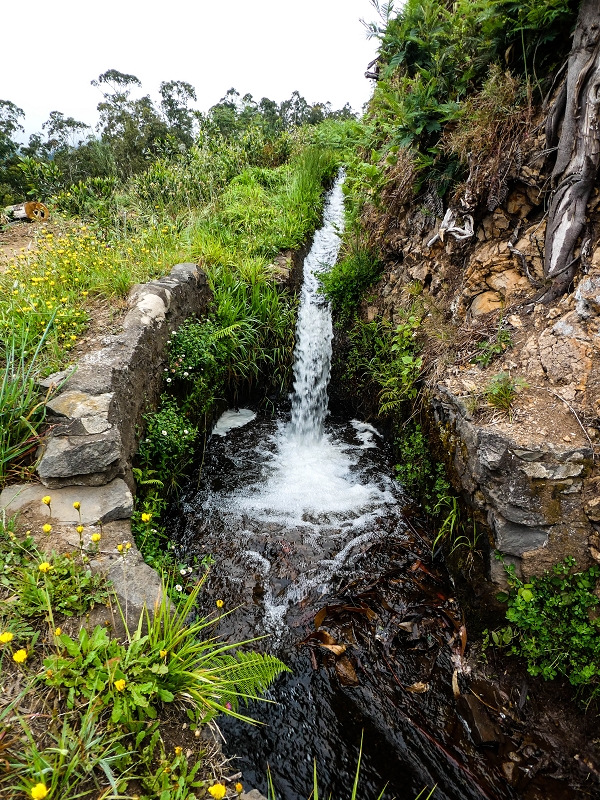 10.05.2019 Von Meia Legua nach Pomar de Rocha, auf die Levada do Lombo do Mouro und Abstieg über Furnas — Der Levada do Lombo do Mouro entlang zum Abstiegsweg nach Furnas — Foto 4