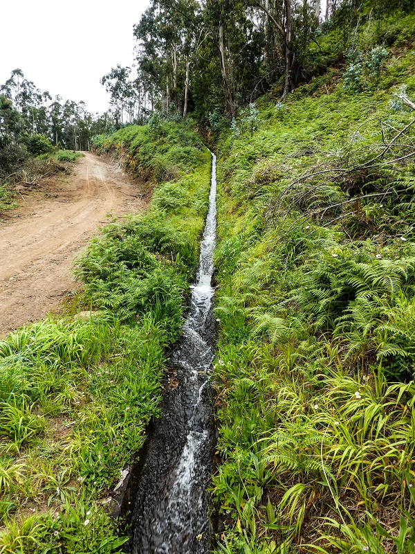 10.05.2019 Von Meia Legua nach Pomar de Rocha, auf die Levada do Lombo do Mouro und Abstieg über Furnas — Der Levada do Lombo do Mouro entlang zum Abstiegsweg nach Furnas — Foto 7