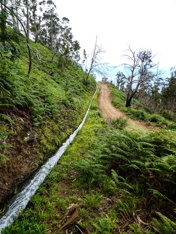 10.05.2019 Von Meia Legua nach Pomar de Rocha, auf die Levada do Lombo do Mouro und Abstieg über Furnas — Der Levada do Lombo do Mouro entlang zum Abstiegsweg nach Furnas — Foto 8