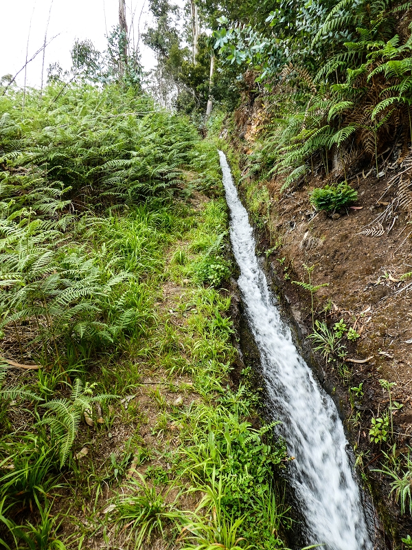 10.05.2019 Von Meia Legua nach Pomar de Rocha, auf die Levada do Lombo do Mouro und Abstieg über Furnas — Der Levada do Lombo do Mouro entlang zum Abstiegsweg nach Furnas — Foto 9