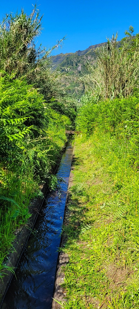 10.06.2022 Anstrengende Einstiegswanderung im Norden — Auf der Levada das Faias — Foto 1