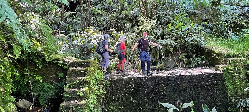 10.06.2022 Anstrengende Einstiegswanderung im Norden — Auf der Levada das Faias — Foto 11