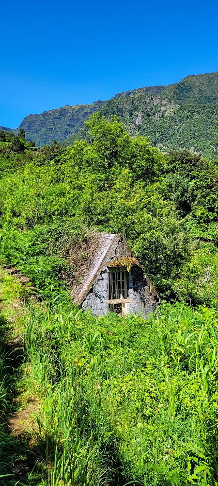 10.06.2022 Anstrengende Einstiegswanderung im Norden — Auf der Levada das Faias — Foto 13
