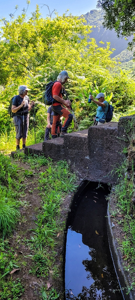 10.06.2022 Anstrengende Einstiegswanderung im Norden — Auf der Levada das Faias — Foto 16