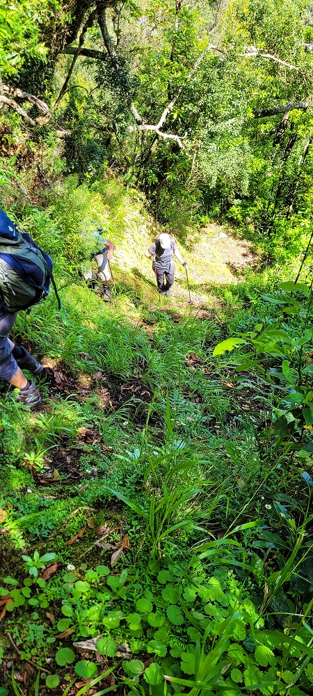 10.06.2022 Anstrengende Einstiegswanderung im Norden — Aufstieg zur Levada dos Tornos — Foto 6