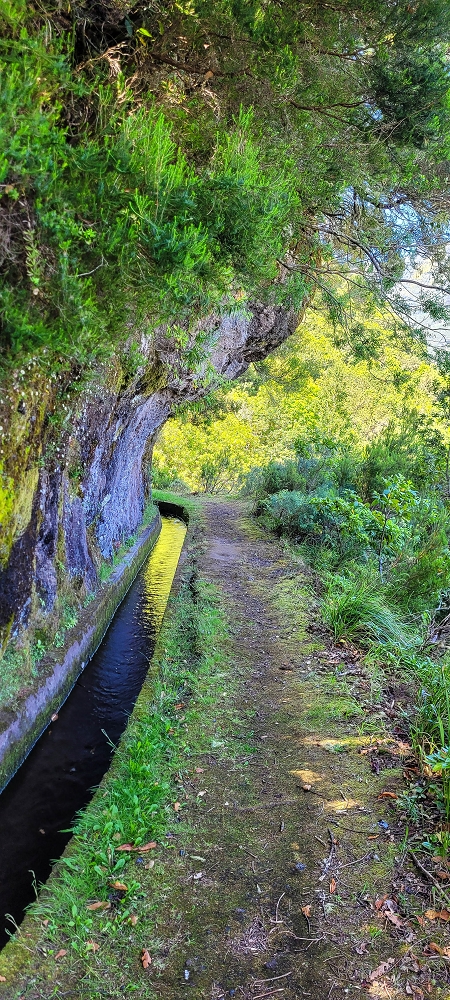 10.06.2022 Anstrengende Einstiegswanderung im Norden — Levada dos Tornos, Levadahaus, Wasserfall und Tunnel — Foto 5