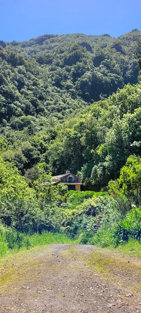 10.06.2022 Anstrengende Einstiegswanderung im Norden — Levada dos Tornos, Levadahaus, Wasserfall und Tunnel — Foto 6