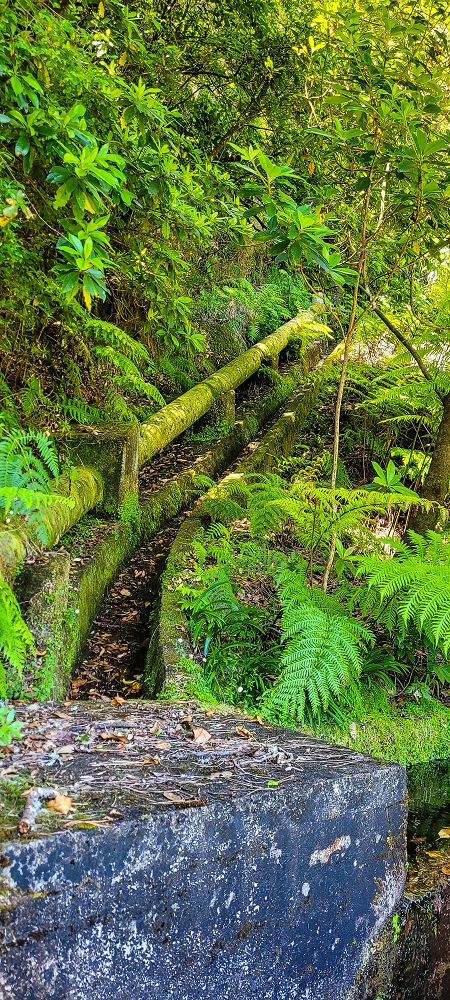 10.06.2022 Anstrengende Einstiegswanderung im Norden — Levada dos Tornos, Levadahaus, Wasserfall und Tunnel — Foto 7